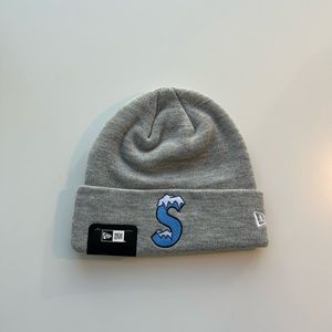 Supreme NWT Beanie SS20